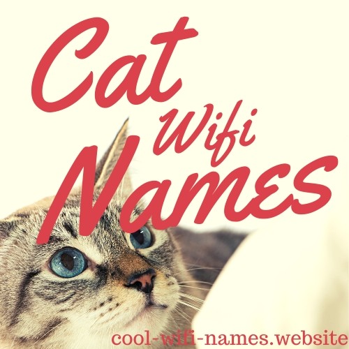 Cat Wifi Names