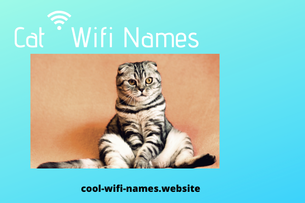 Best Cat Wifi Names