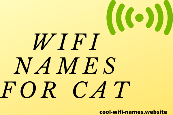 Cat Themed Wifi Names