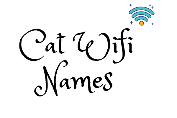 Funny Cat Wifi Names